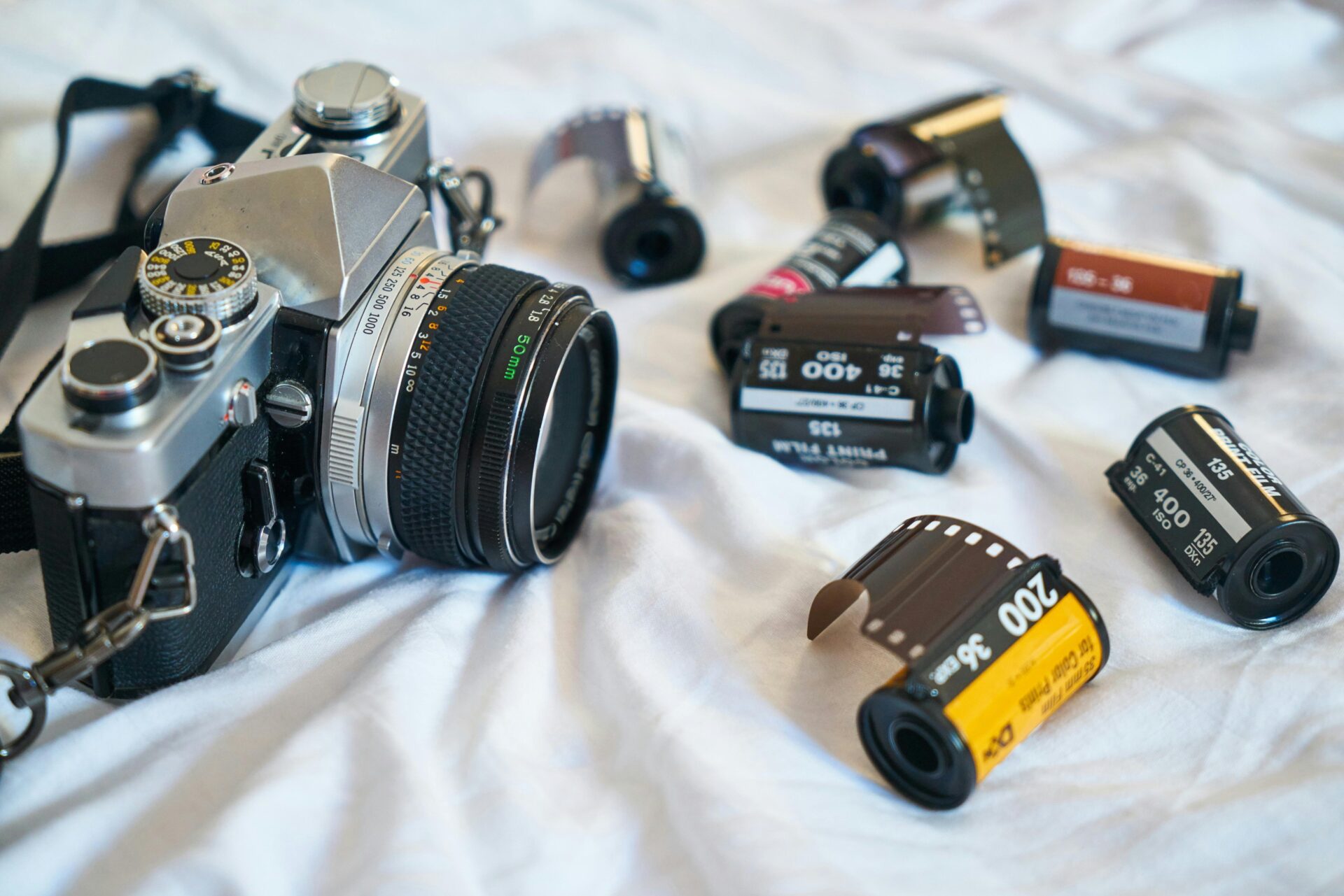 Alumni Success Stories: How Film Schools Create Industry Leaders